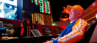 Онлайн казино Vulkan Maximum Casino